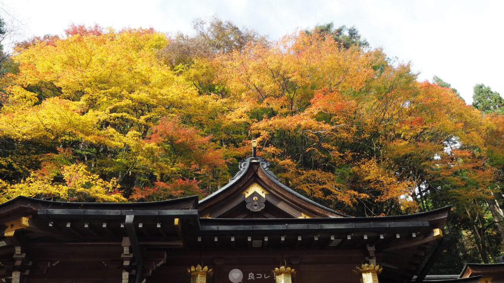 秋の貴船神社
