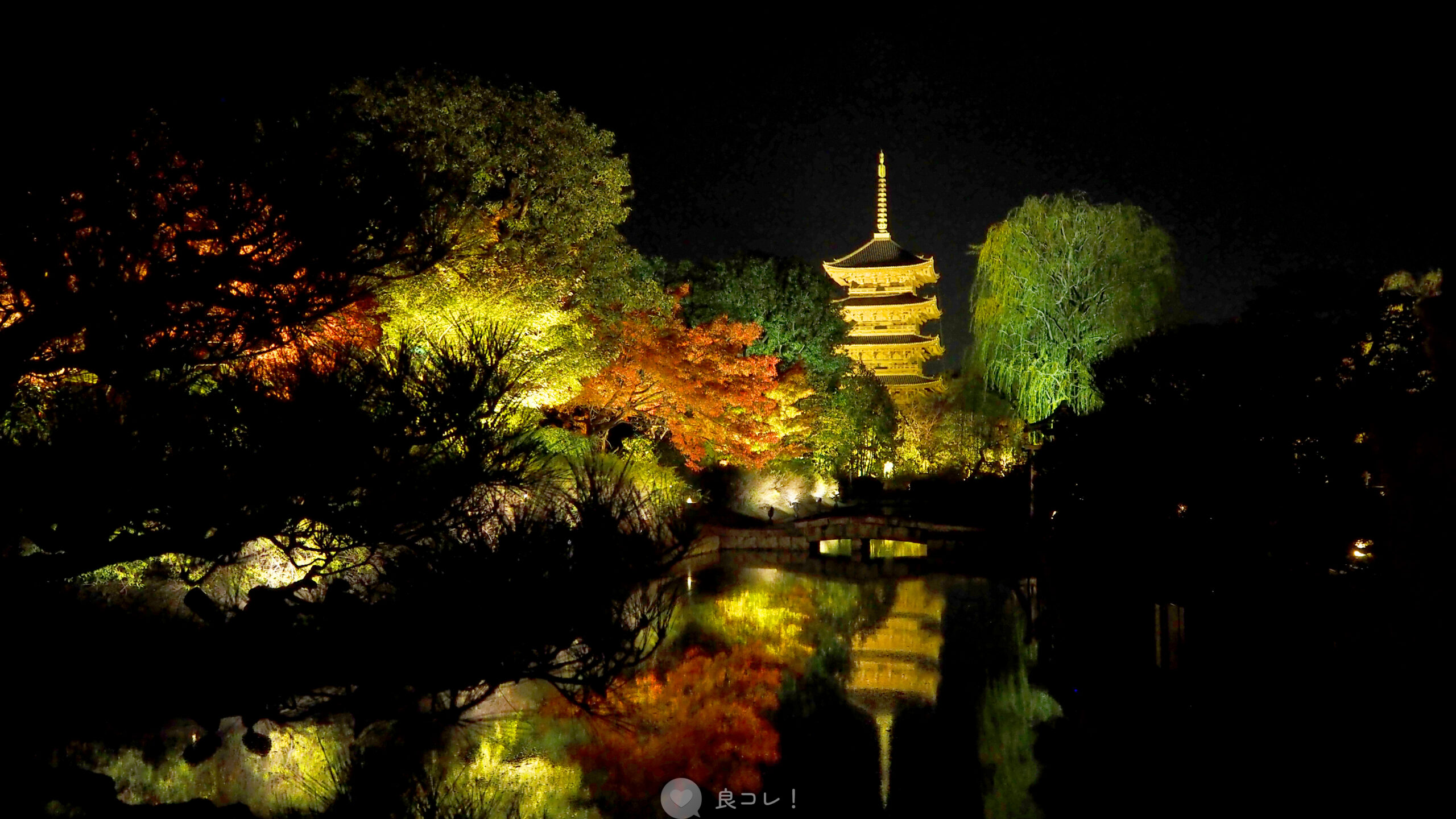 東寺のライトアップ反射する五重塔