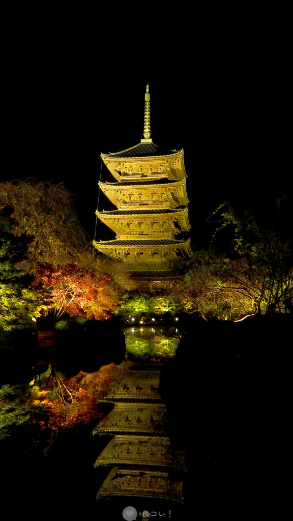 東寺のライトアップ反射する五重塔